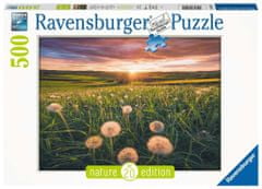 Ravensburger Puzzle Pampelišky v západu slunce 500 dílků