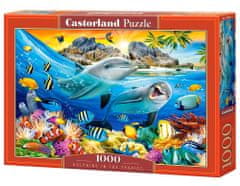 Castorland Puzzle Delfíni v tropech 1000 dílků