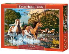 Castorland Puzzle Koňská říše divů 1000 dílků