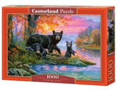 Castorland Puzzle Medvědi na lovu 1000 dílků