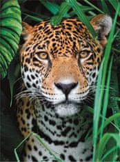Clementoni Puzzle Jaguár v džungli 500 dílků
