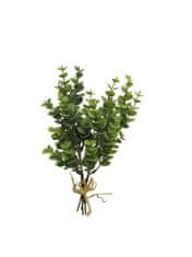 C7.cz Blahovičník - Eukalyptus x4 svazek zelený 26 cm