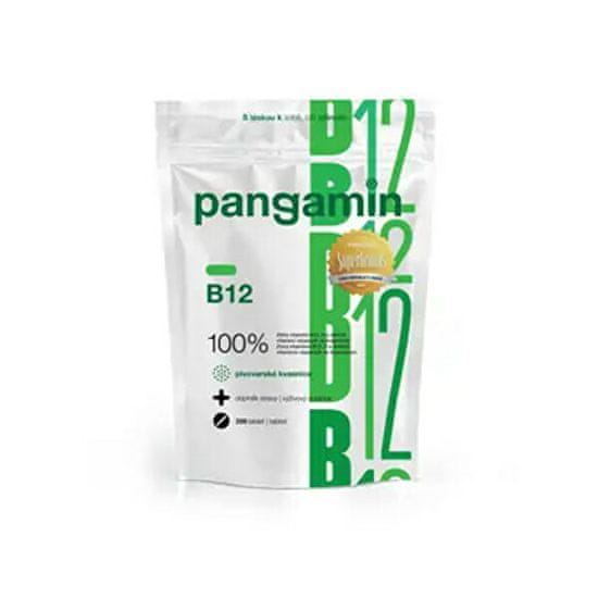 Rapeto Pangamin B12 200 tablet