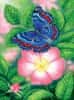 SunsOut Puzzle Motýl na květu