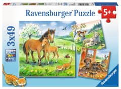Ravensburger Puzzle Zvířecí mazlení 3x49 dílků