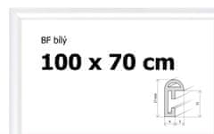 BFHM Plastový rám 100x70cm - bílý