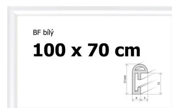 BFHM Plastový rám 100x70cm - bílý