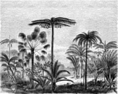 Vliesová černobílá obrazová tapeta - džungle, palmy 158952, 350x279cm, Paradise