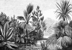 Vliesová černobílá obrazová tapeta - džungle, palmy 158953, 350x279cm, Paradise