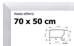 BFHM Alaska hliníkový rám 70x50cm - stříbrný