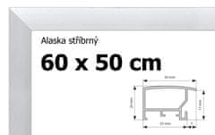 BFHM Alaska hliníkový rám 60x50cm - stříbrný