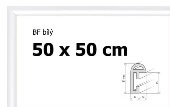 BFHM Plastový rám 50x50cm - bílý