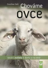 Dorothee Dahl: Chováme ovce - ideální zvířata k domu a na dvůr