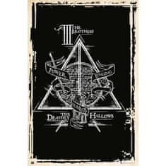 CurePink Plakát Harry Potter: Relikvie smrti (61 x 91,5 cm)