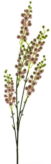 C7.cz Citlivka - Mimosa (spray) růžová 69 cm