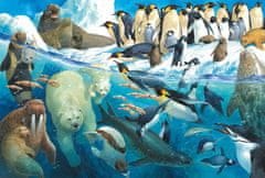 Schmidt  Puzzle Zvířata za polárním kruhem 100 dílků