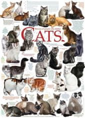 Cobble Hill Puzzle Kočičí hlášky 1000 dílků