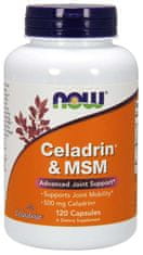 NOW Foods Celadrin a MSM 500 mg, 120 kapslí