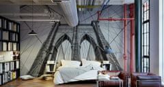 Muralo Fototapeta do ložnice Brooklynský most 3D 360x240cm