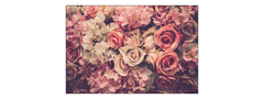 Muralo Fototapeta květiny RŮŽE Styl Retro Vintage 360x240cm