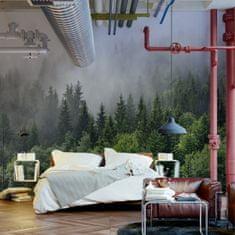 Muralo Fototapeta do obývacího pokoje les v mlze příroda 3D 300x210cm