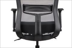 STEMA Otočná kancelářská židle HOPE. Má nylonovou základnu, měkká kolečka, nastavitelné područky, hlavovou a bederní opěrku. Samovyvažovací synchronní mechanismus. Nastavitelné sedadlo. Černá barva.