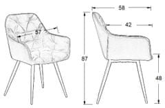 Obývací nebo jídelní židle CN-9220 šedá