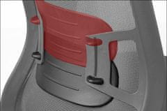 STEMA Otočná kancelářská židle GN-310. Má nylonovou základnu, měkká kolečka, nastavitelné područky a bederní opěrku. Nastavitelné sedadlo. Synchronní mechanismus. Barva černá.