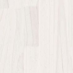 Greatstore Zahradní truhlík bílý 100 x 50 x 50 cm masivní borovice
