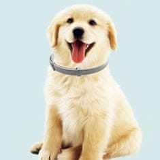 Netscroll Obojek, který odpuzuje klíšťata a blechy, pro psy a kočky, pro bezpečnost a pohodlí vašich domácích mazlíčků, AnimalProtect-dog