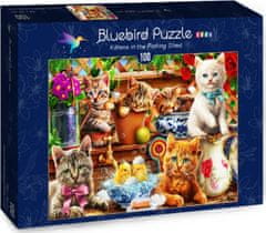 Blue Bird Puzzle Koťata v zahradní boudě 100 dílků