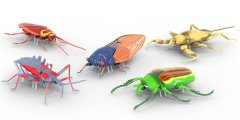 Hexbug Real Bugs - 5 Pack