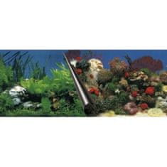 EBI Pozadí akvarijní Stone+Coral 60 x 30 cm