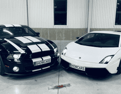Stips.cz Lamborghini Gallardo vs. Mustang GT5.0 V8 SHELBY