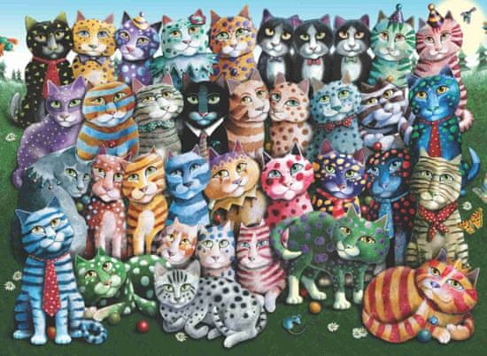 AnaTolian Puzzle Kočičí rodinné shledání 1000 dílků