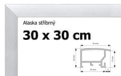 BFHM Alaska hliníkový rám 30x30cm - stříbrný
