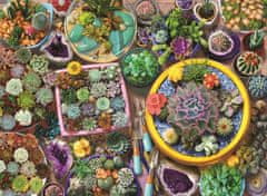 AnaTolian Puzzle Kaktusové květináče 1000 dílků