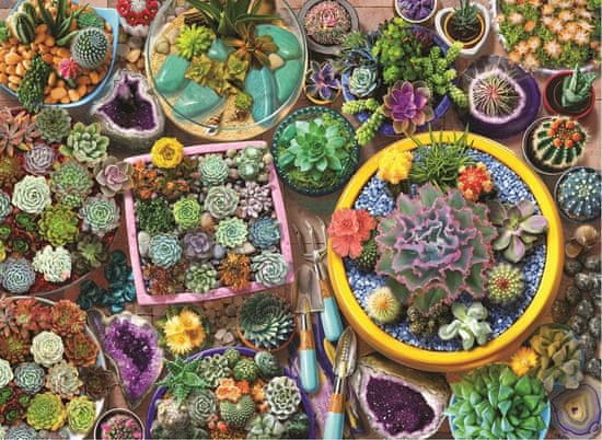AnaTolian Puzzle Kaktusové květináče 1000 dílků