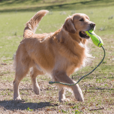 KONG Hračka pro psa Kong Air dog Fetch Sticks M 20cm
