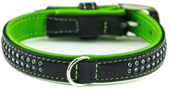 Nobby Obojek pro psy "Pacific Deluxe" dvouřadý (S-M) 42cm zelený