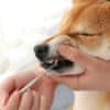 Surtep Animals Nástroj na odstraňování zubního kamene 17cm / ocel