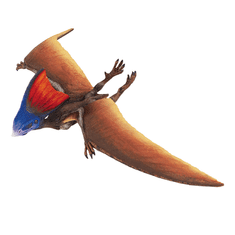 Safari Ltd. Figurka - Tapejara (pterosaurus)