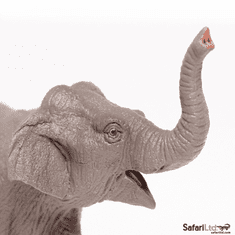 Safari Ltd. Slon indický