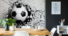 Muralo Fototapeta pro mladé 3D míč ve zdi 360x240cm