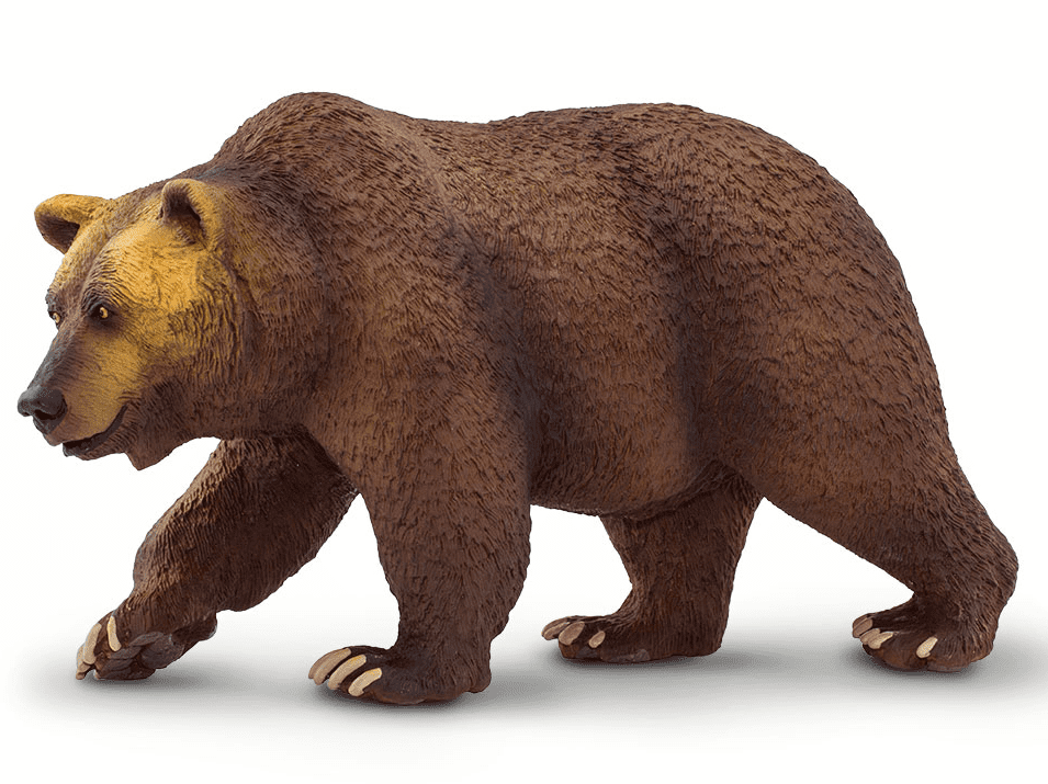 Safari Ltd. Medvěd Grizzly