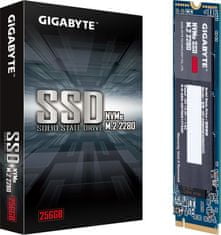SSD, M.2 - 256GB (GP-GSM2NE3256GNTD)