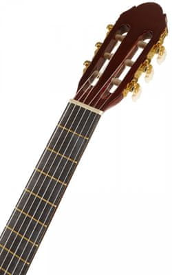  krásná akustická kytara toledo Primera Spruce 44-NT pro děti studenty a lidi lesklá povrchová úprava vrstvený korpus lipové dřevo