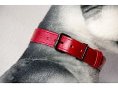 TLW Červený kožený obojek pro psa EKG vel.: S, obvod krku 34-44cm, šíře 30mm