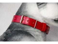 TLW Červený kožený obojek pro psa EKG chrom vel.: XL, obvod krku 52-64cm, šíře 40mm