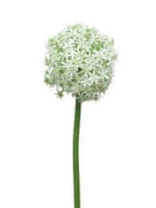 C7.cz Česnek okrasný - Allium x3 zelená s trávou 82 cm bilá /zelená pruměr 14cm